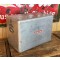 WesternField Aluminium Picnic Cooler