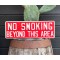 No Smoking Beyond This Area Schild